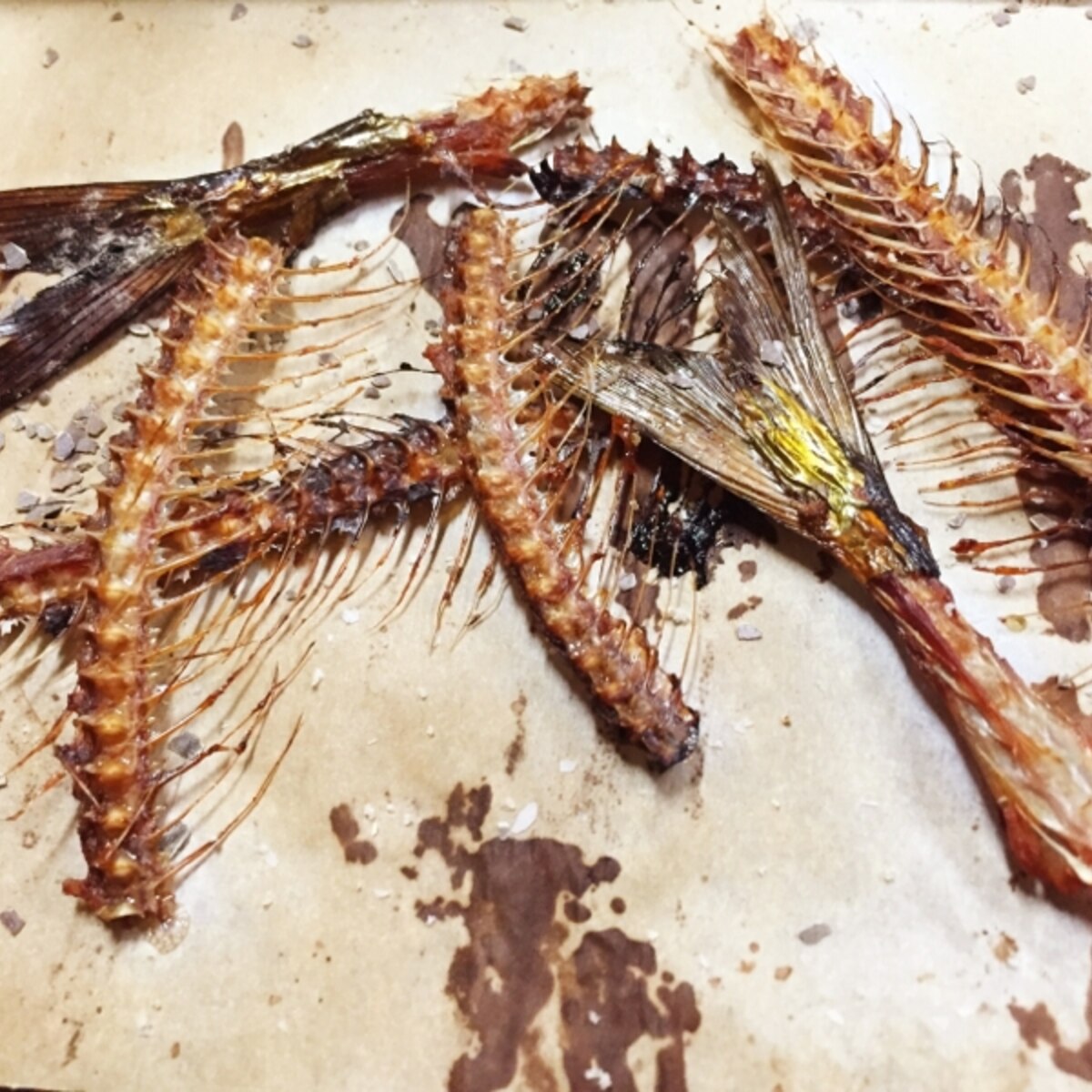 カルシウムたっぷり 焼きさんまの骨せんべい レシピ 作り方 By たかまさ 楽天レシピ カルシウムたっぷり 焼きさんまの骨せんべい レシピ 作り方 By たかまさ 楽天レシピ